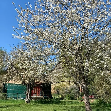 La Yourte Du Moulin אוהל מפואר *
