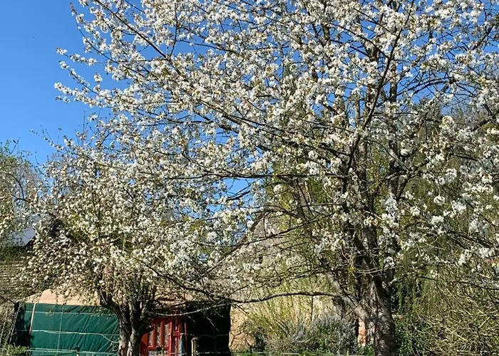 La Yourte Du Moulin Luxuszelt *